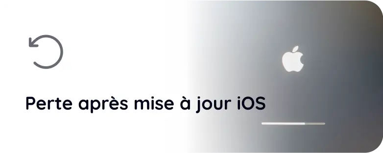 lossFr