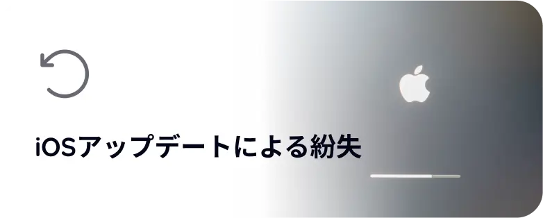 lossJa